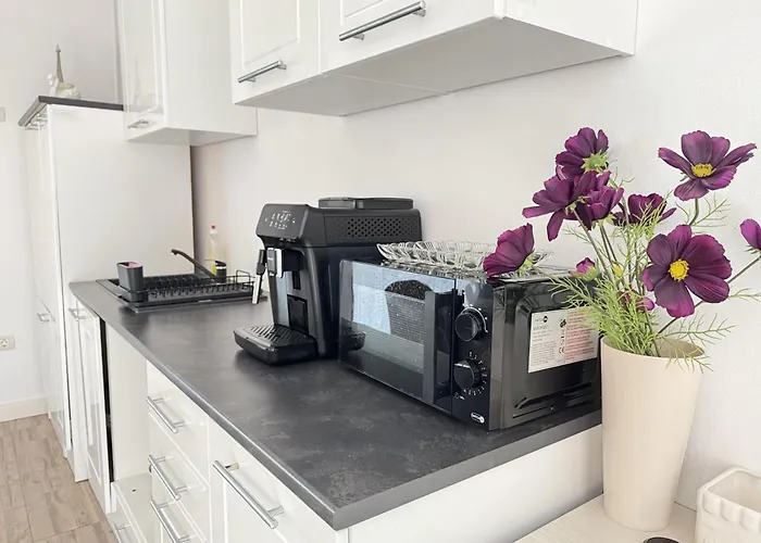 Casa de hóspedes Nearby Romantic Retreat R Timişoara